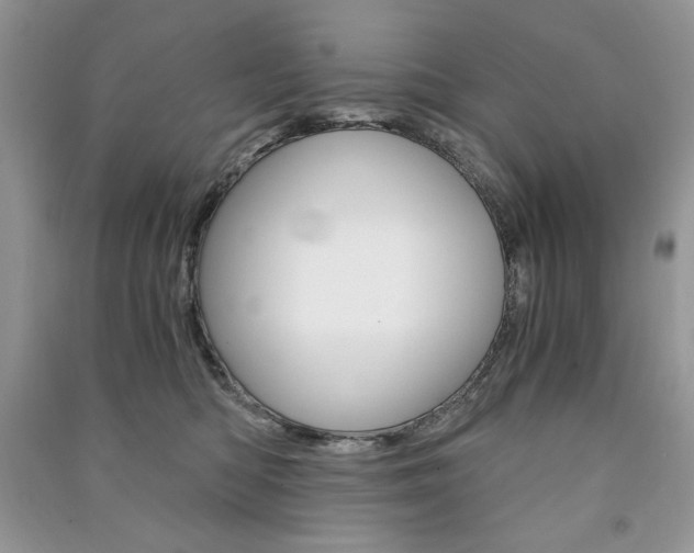X0000091180422200708091050
