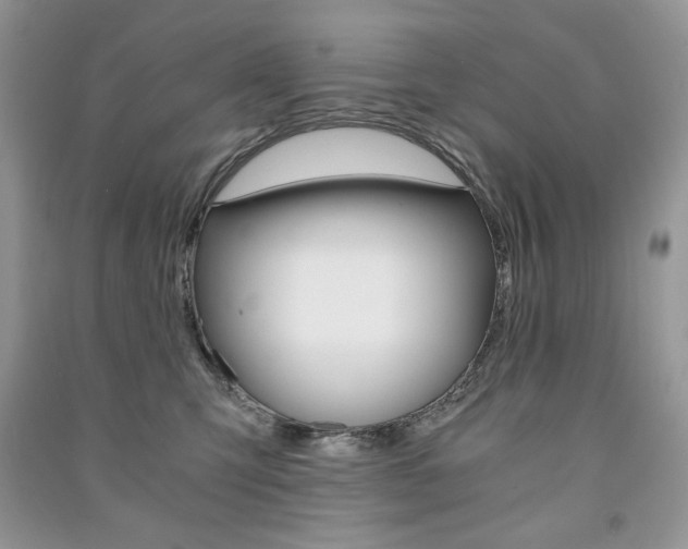 X0000091180423200708091050