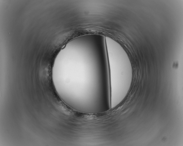 X0000091180424200708091050