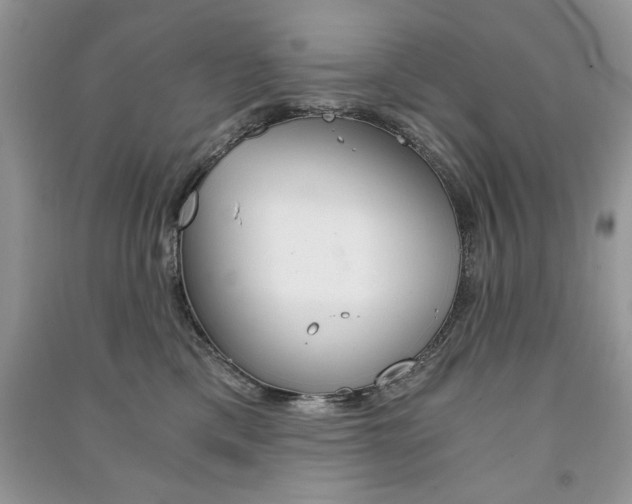 X0000091180425200708091050