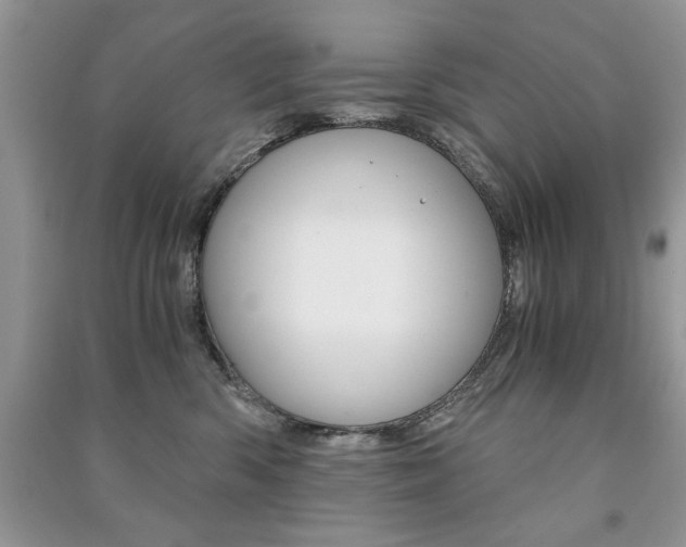 X0000091180426200708091050