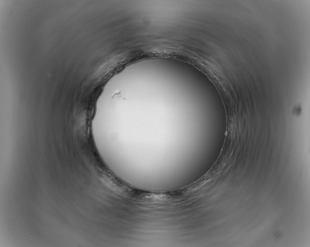 X0000091180428200708091050