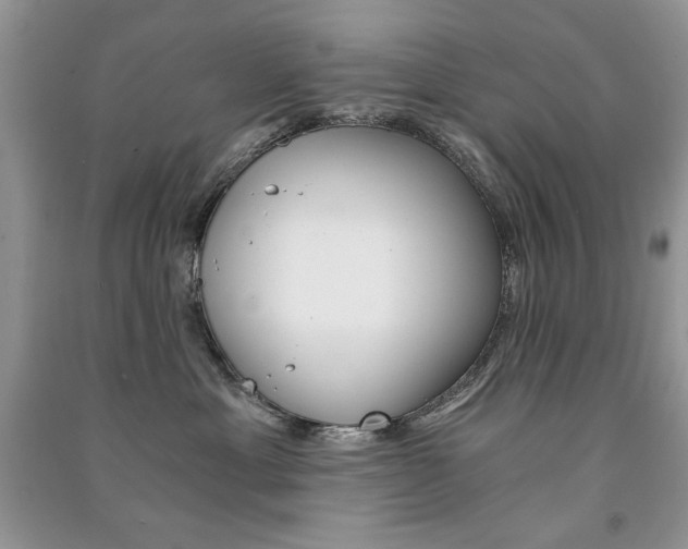X0000091180429200708091050