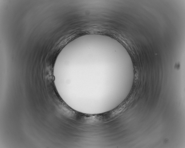 X0000091180430200708091050