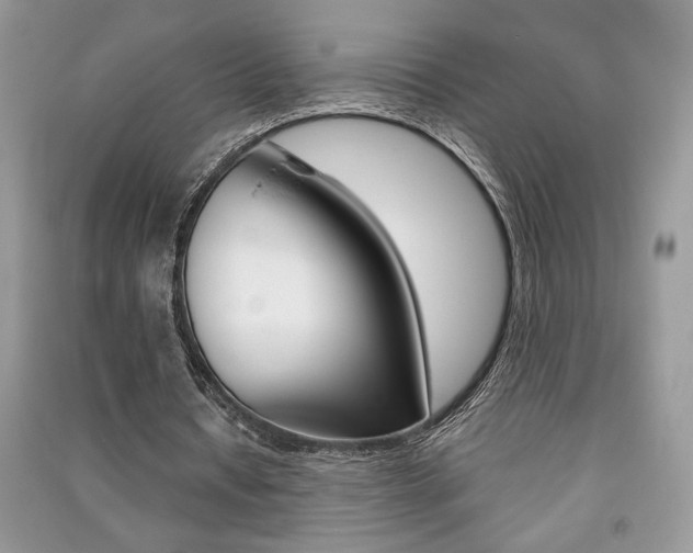 X0000091180434200708091049