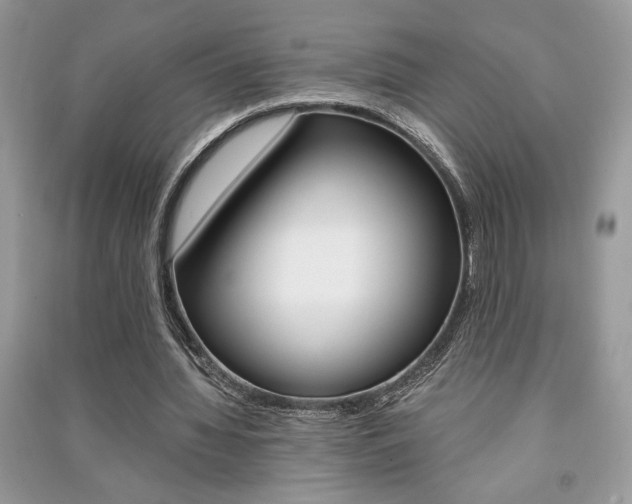X0000091180436200708091049