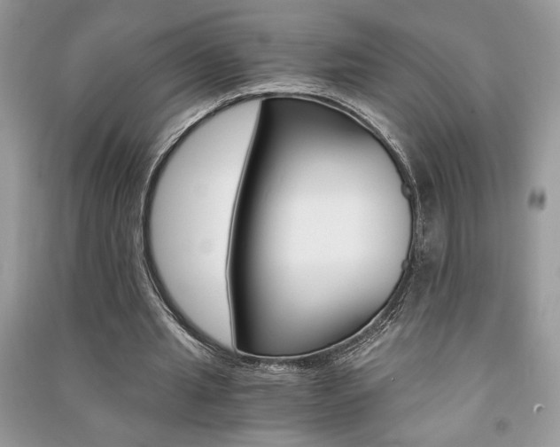 X0000091180437200708091049