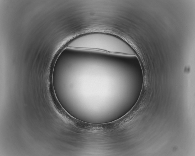 X0000091180438200708091049
