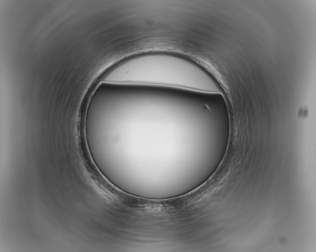 X0000091180439200708091049