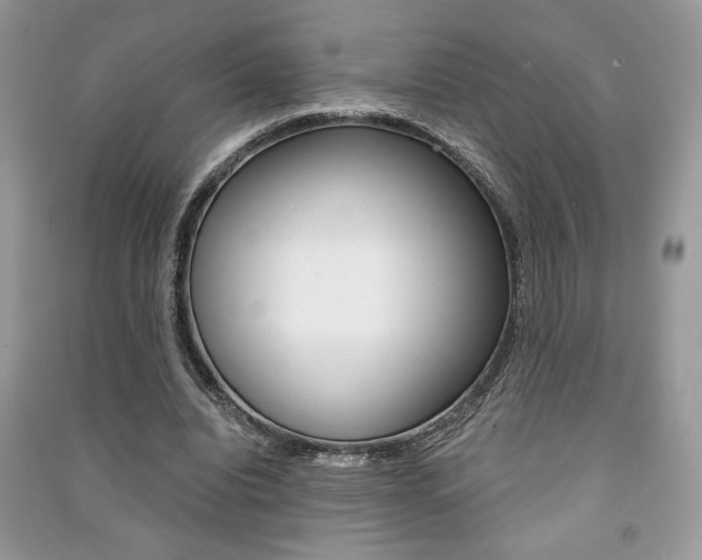 X0000091180440200708091049