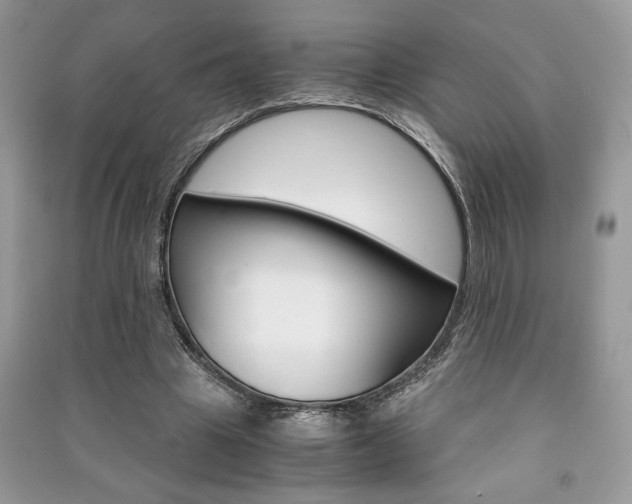 X0000091180441200708091049