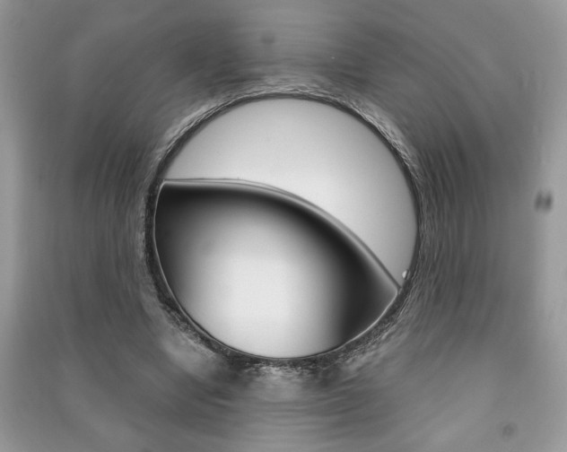 X0000091180442200708091049