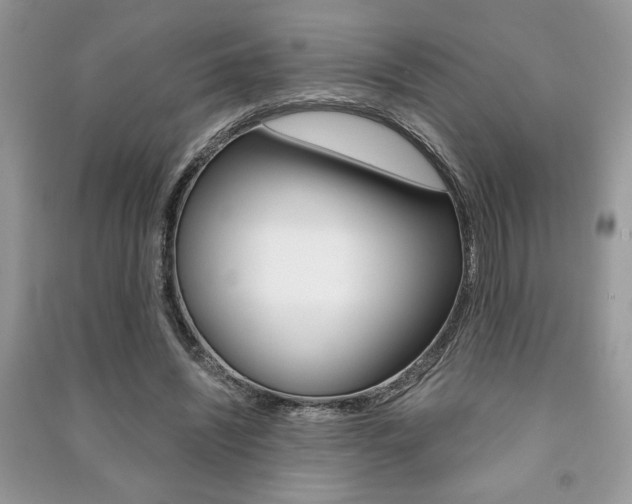 X0000091180444200708091049