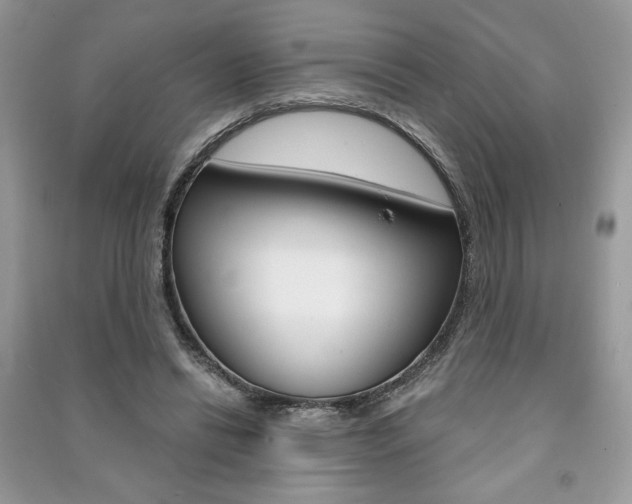 X0000091180446200708091049