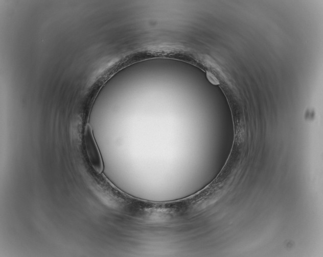 X0000091180448200708091049