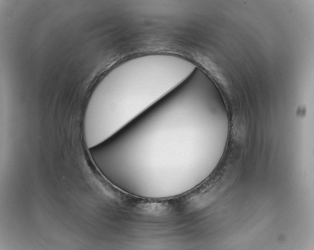 X0000091180449200708091049
