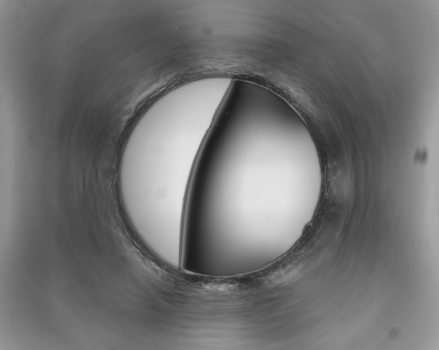 X0000091180450200708091049