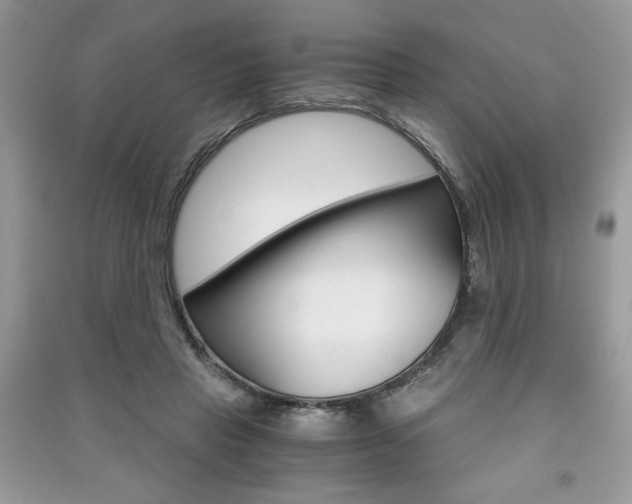 X0000091180453200708091049