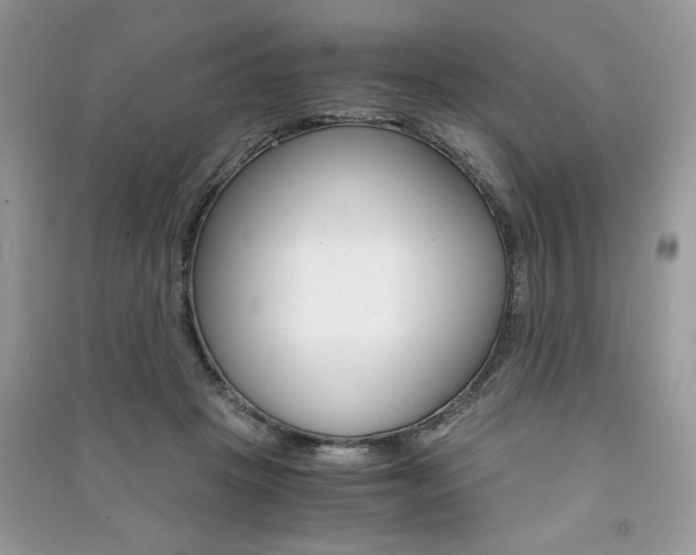 X0000091180457200708091049