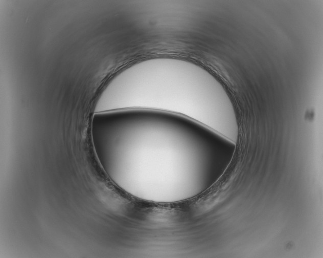 X0000091180458200708091049