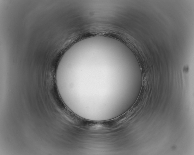 X0000091180460200708091049
