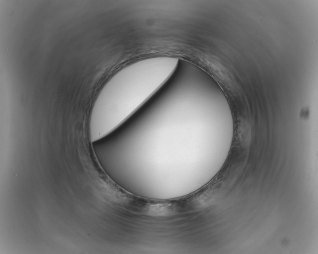 X0000091180461200708091049