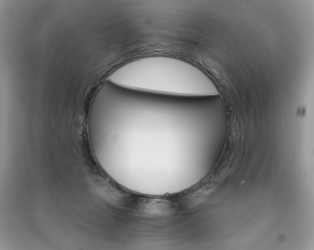 X0000091180463200708091049