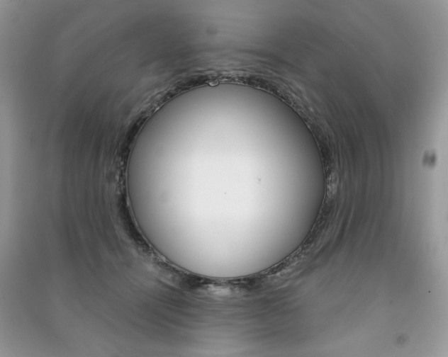 X0000091180464200708091049