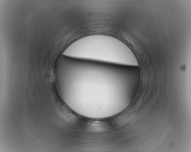 X0000091180467200708091049