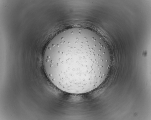X0000091180469200708091049