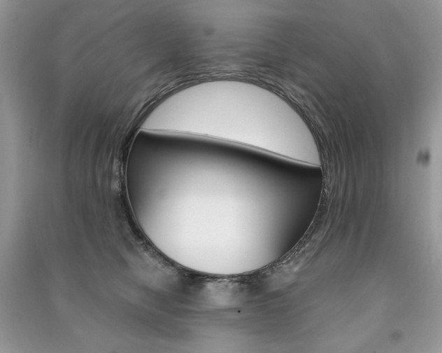 X0000091180470200708091049