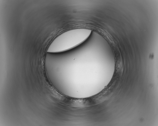 X0000091180473200708091049