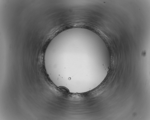 X0000091180475200708091050