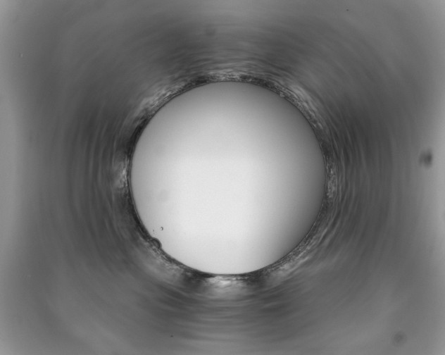 X0000091180477200708091050