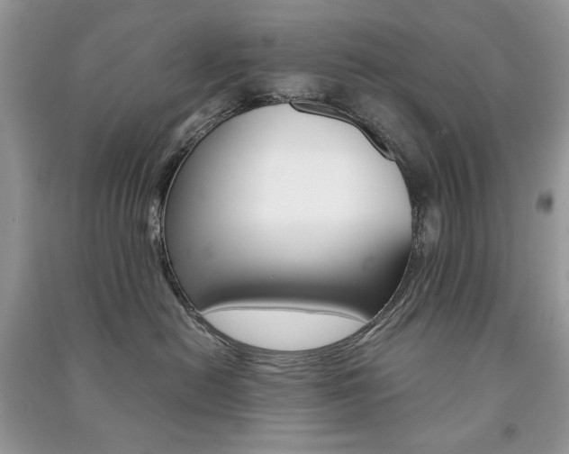 X0000091180478200708091050