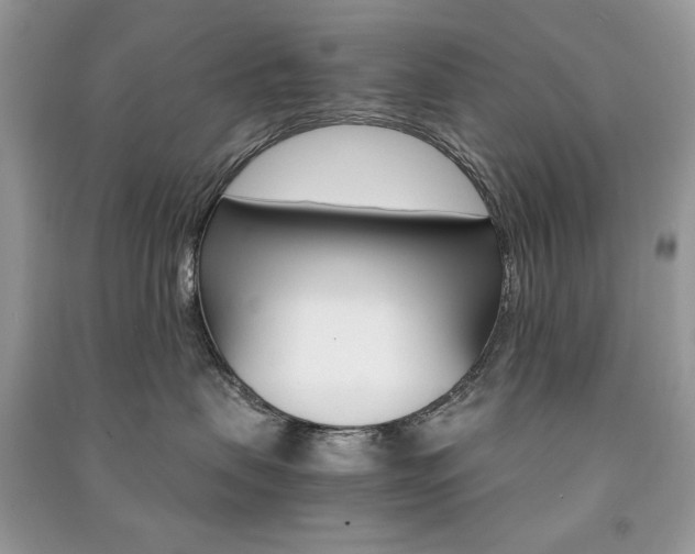X0000091180479200708091050