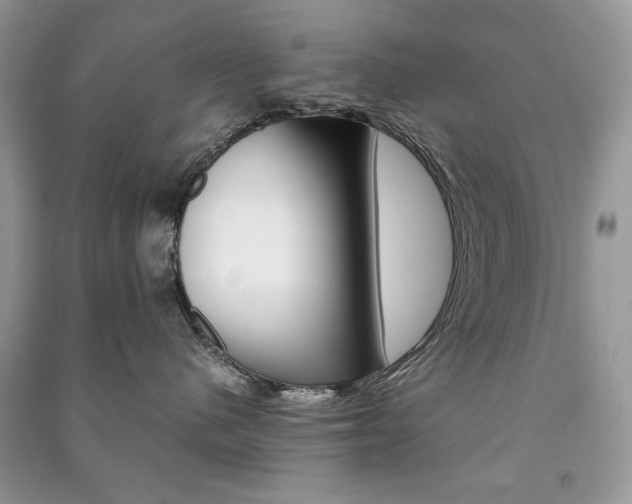 X0000091180480200708091050
