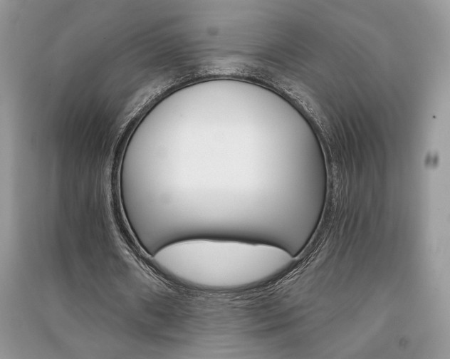 X0000091180482200708091049