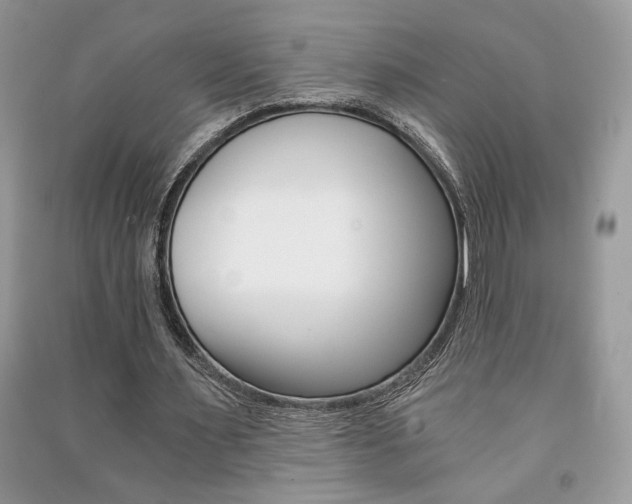 X0000091180483200708091049