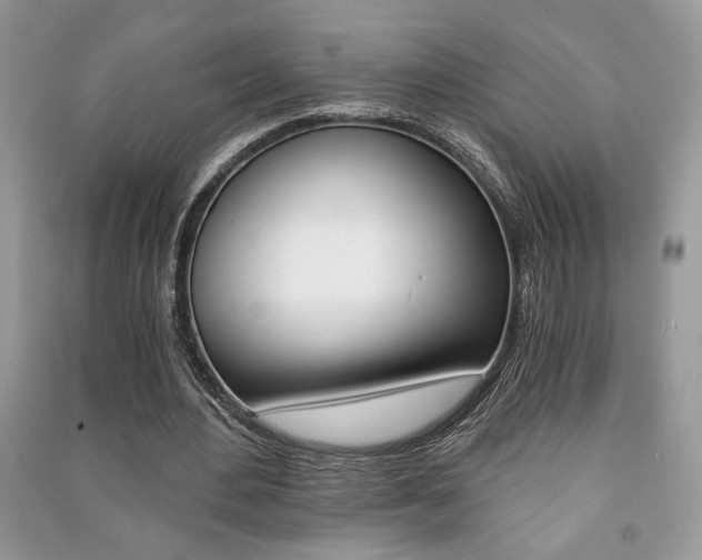 X0000091180484200708091049