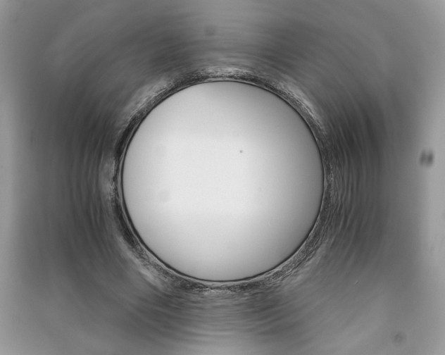 X0000091180490200708091049