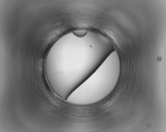 X0000091180495200708091049