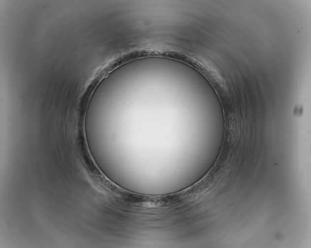 X0000091180496200708091049