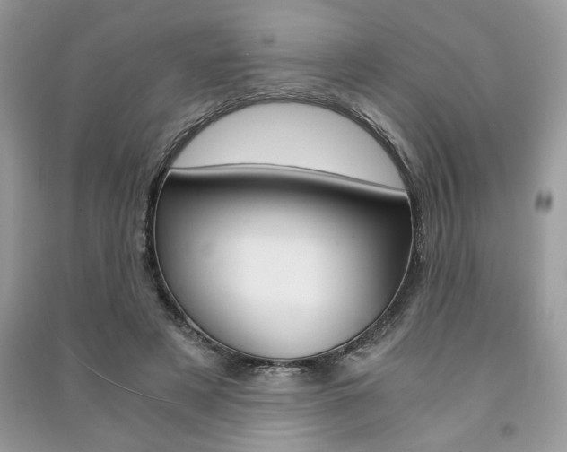 X0000091180497200708091049