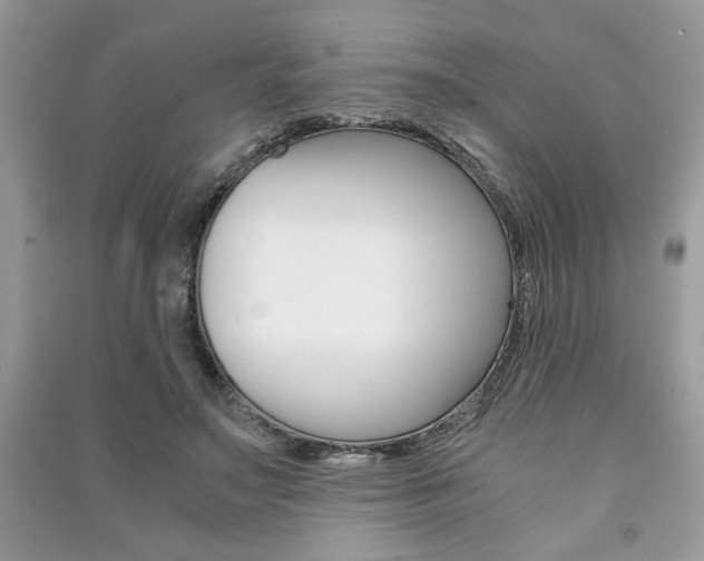 X0000091180499200708091049