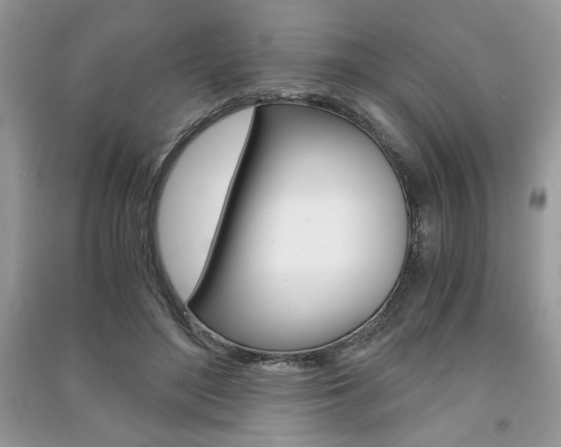 X0000091180500200708091049