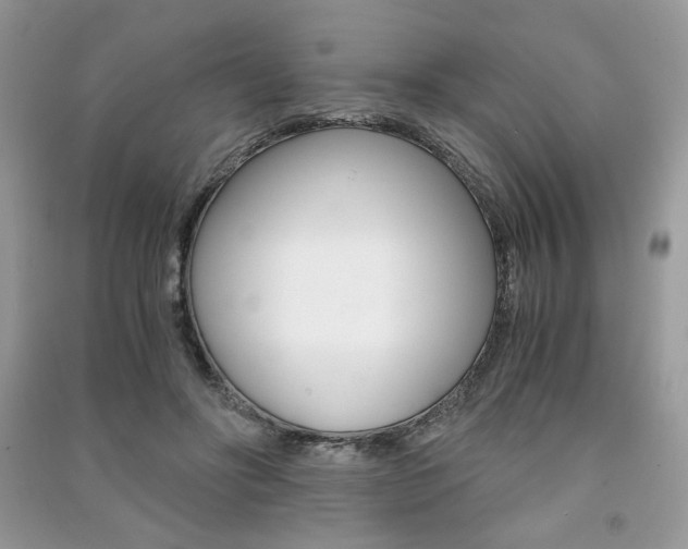 X0000091180502200708091049