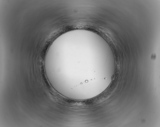 X0000091180503200708091049