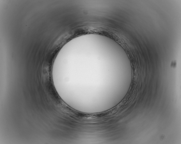 X0000091180506200708091049