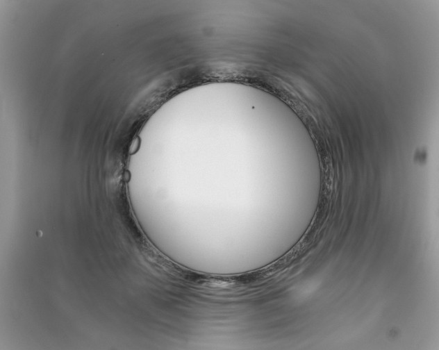 X0000091180507200708091048